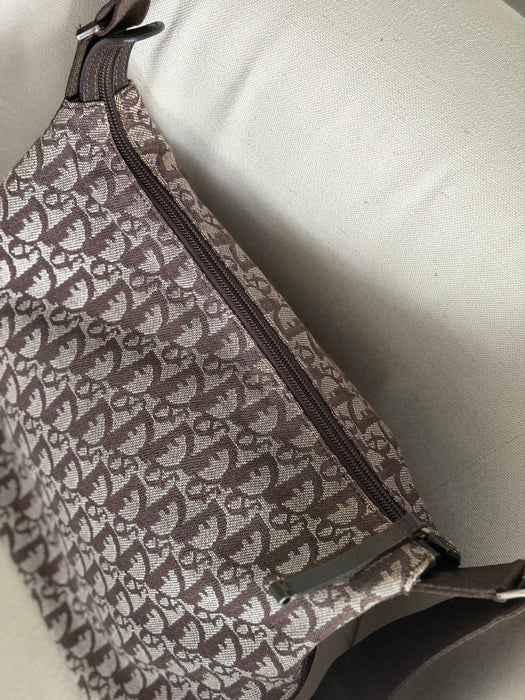 Dior Brown Trotter Crossbody