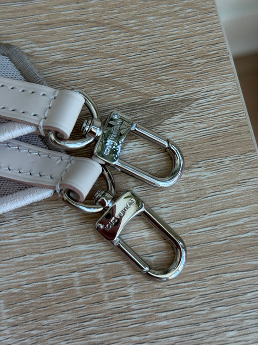 Louis Vuitton Mini Cluny: Full Set