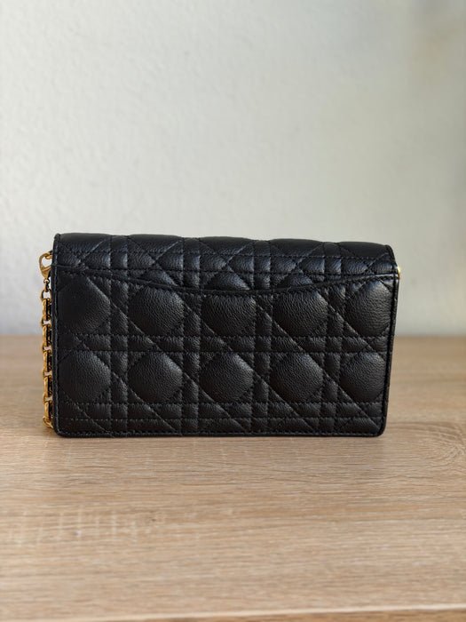 Dior Caro Wallet on Chain: Full Set