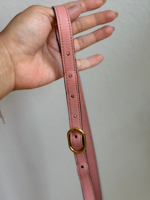 Gucci Mini Diana