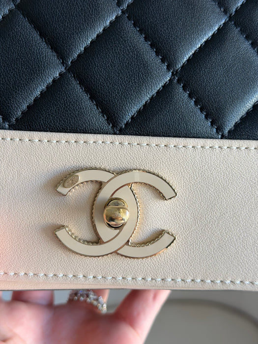 Chanel Mademoiselle Flap Bag