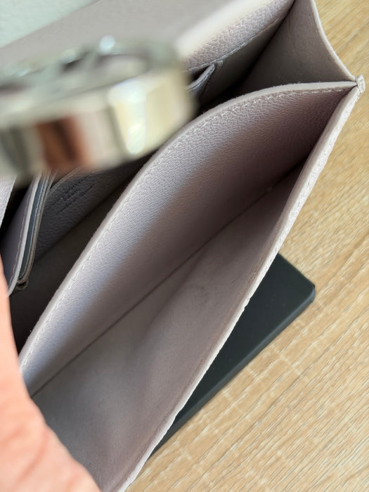 Louis Vuitton Rosy Wallet on Chain in Brume