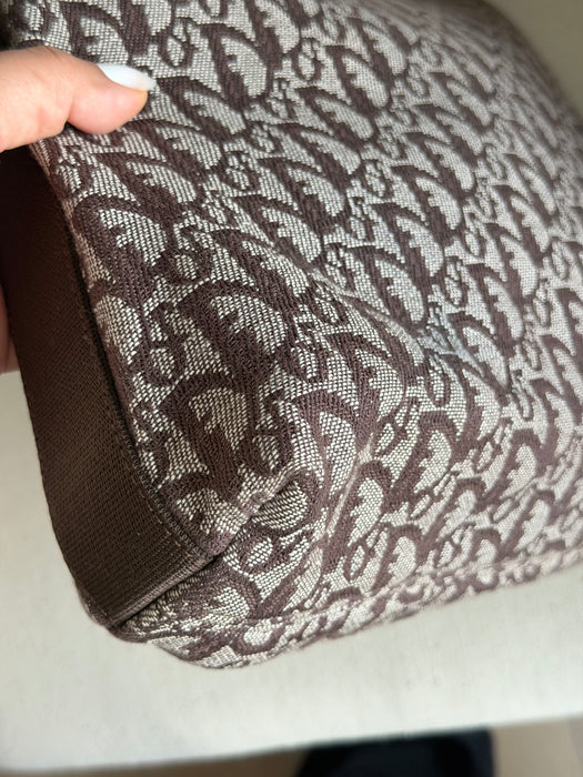 Dior Brown Trotter Crossbody