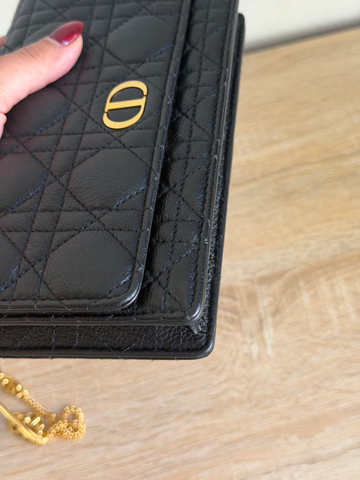 Dior Caro Wallet on Chain: Full Set