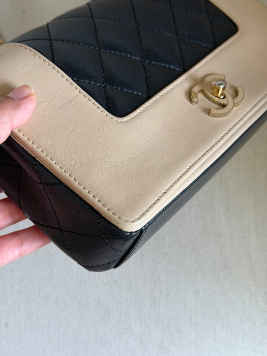 Chanel Mademoiselle Flap