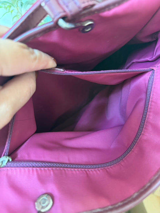 Dior Trotter Burgundy Tote