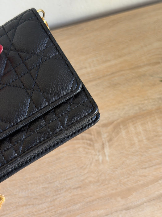 Dior Caro Wallet on Chain: Full Set