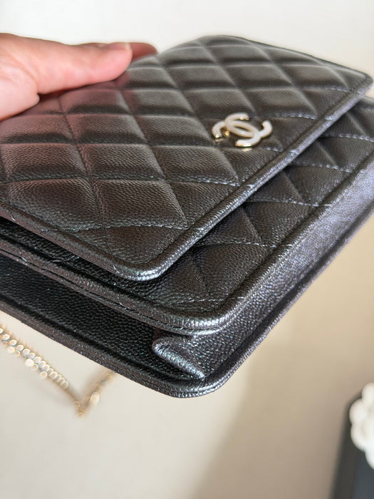 Chanel Wallet On Chain Iridescent caviar