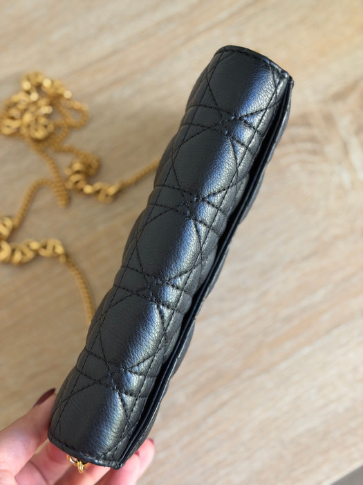 Dior Caro Wallet on Chain: Full Set