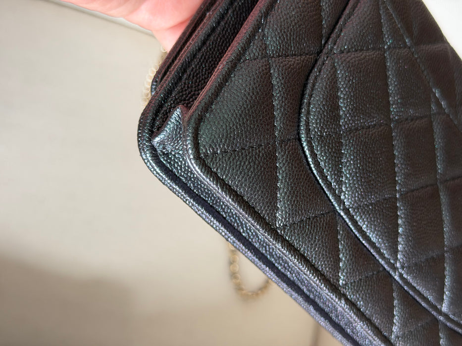 Chanel Wallet On Chain Iridescent caviar