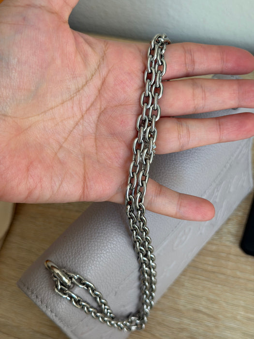 Louis Vuitton Rosy Wallet on Chain in Brume
