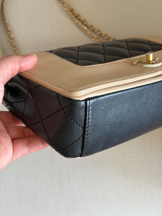Chanel Mademoiselle Flap