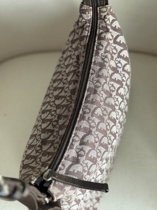 Dior Brown Trotter Crossbody