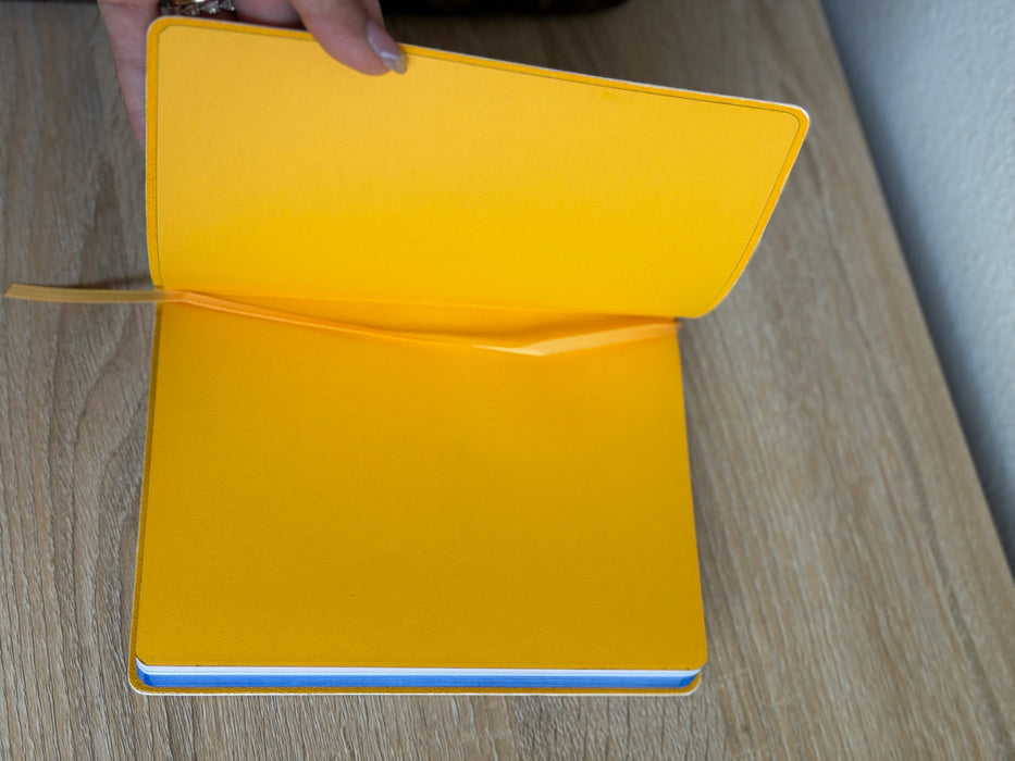 Louis Vuitton Watercolor Clemance Notebook