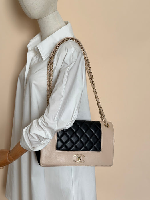 Chanel Mademoiselle Flap Bag