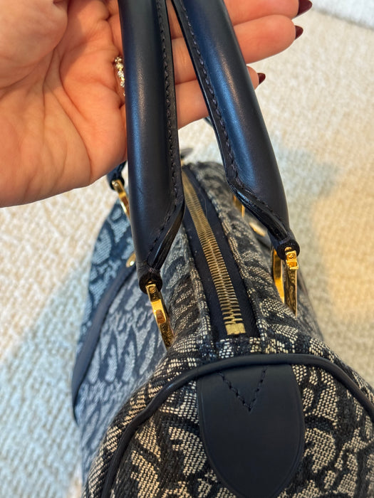 Dior Trotter Mini Boston
