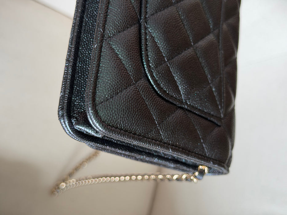 Chanel Wallet On Chain Iridescent caviar