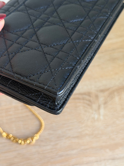 Dior Caro Wallet on Chain: Full Set