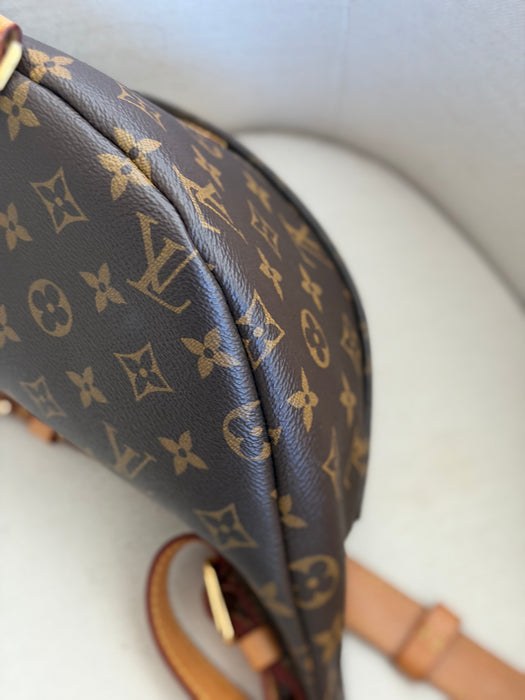 Louis Vuitton Bumbag