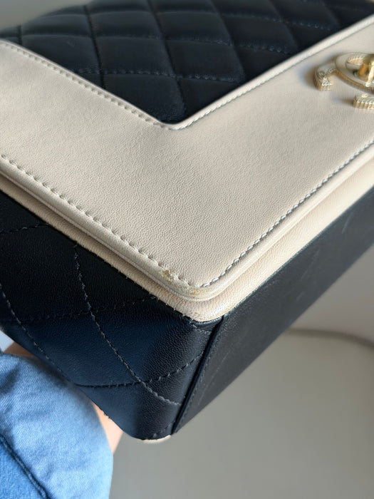 Chanel Mademoiselle Flap Bag