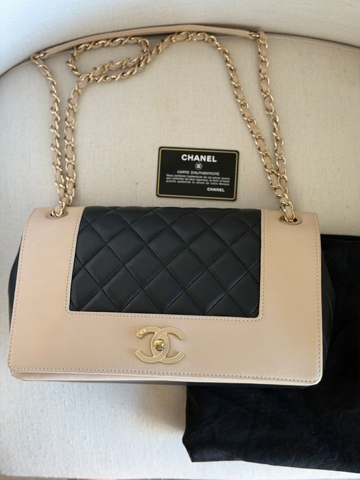 Chanel Mademoiselle Flap Bag