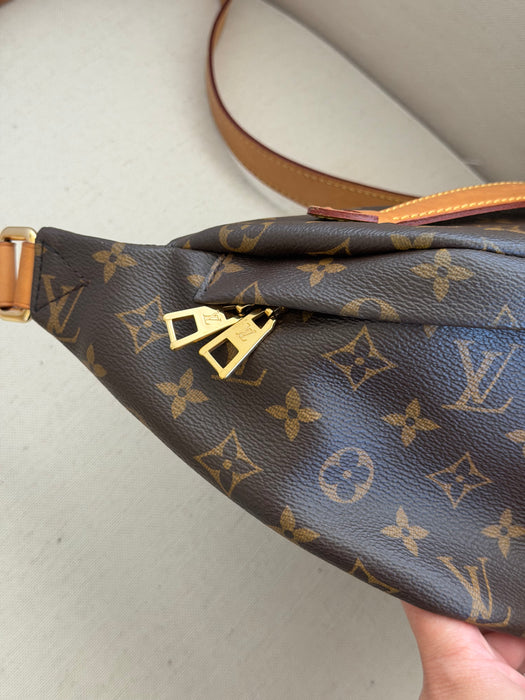Louis Vuitton Bumbag