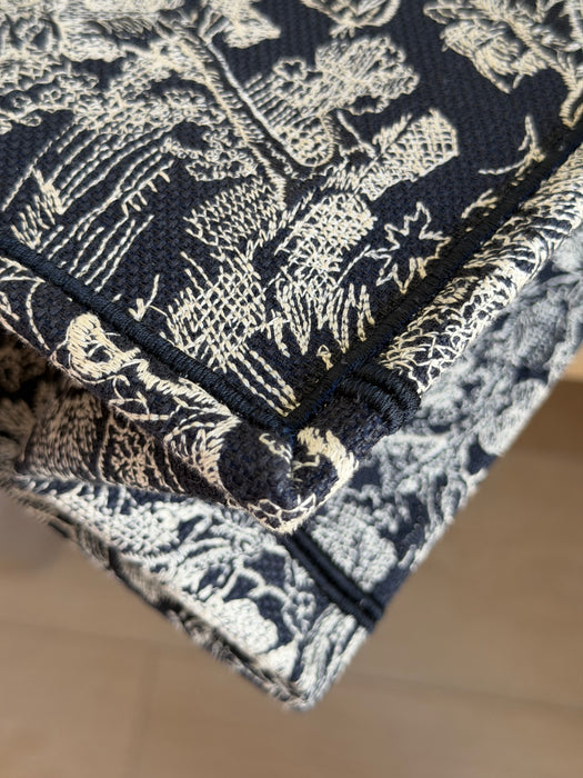 Dior Toile Book Tote: New Full Set