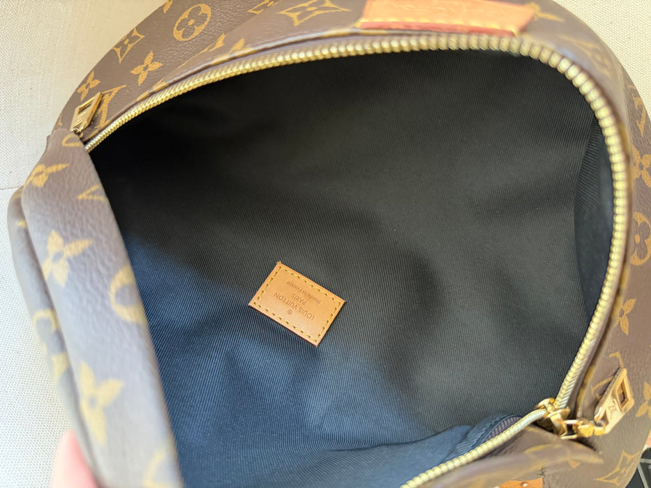 Louis Vuitton Bumbag