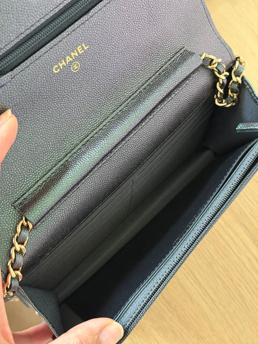 Chanel Wallet On Chain Iridescent caviar