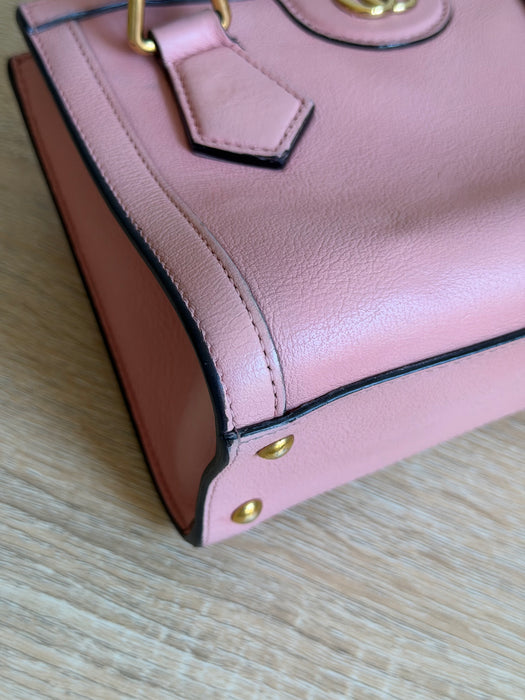 Gucci Mini Diana