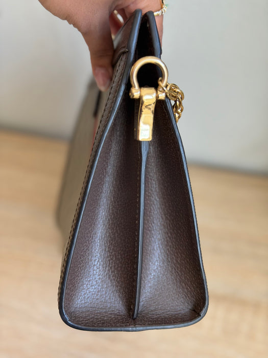 Gucci GG Renew Supreme Clutch Chain Shoulder