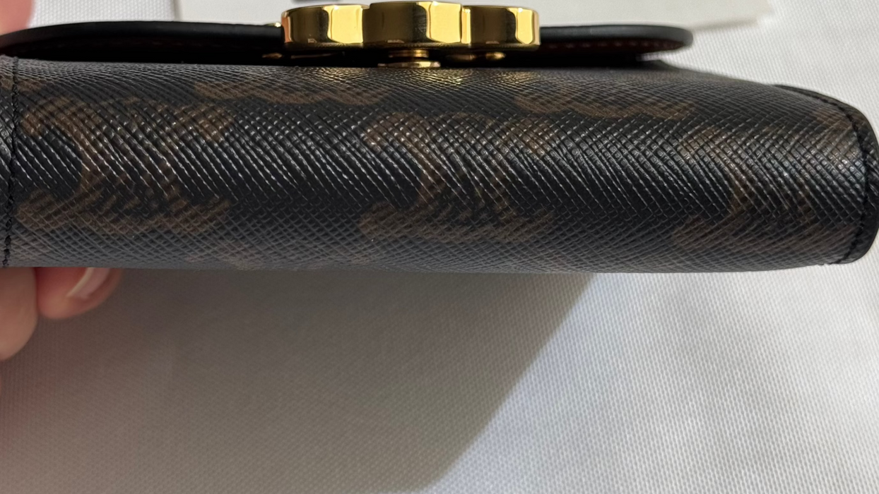 Celine Triomphe Compact Wallet