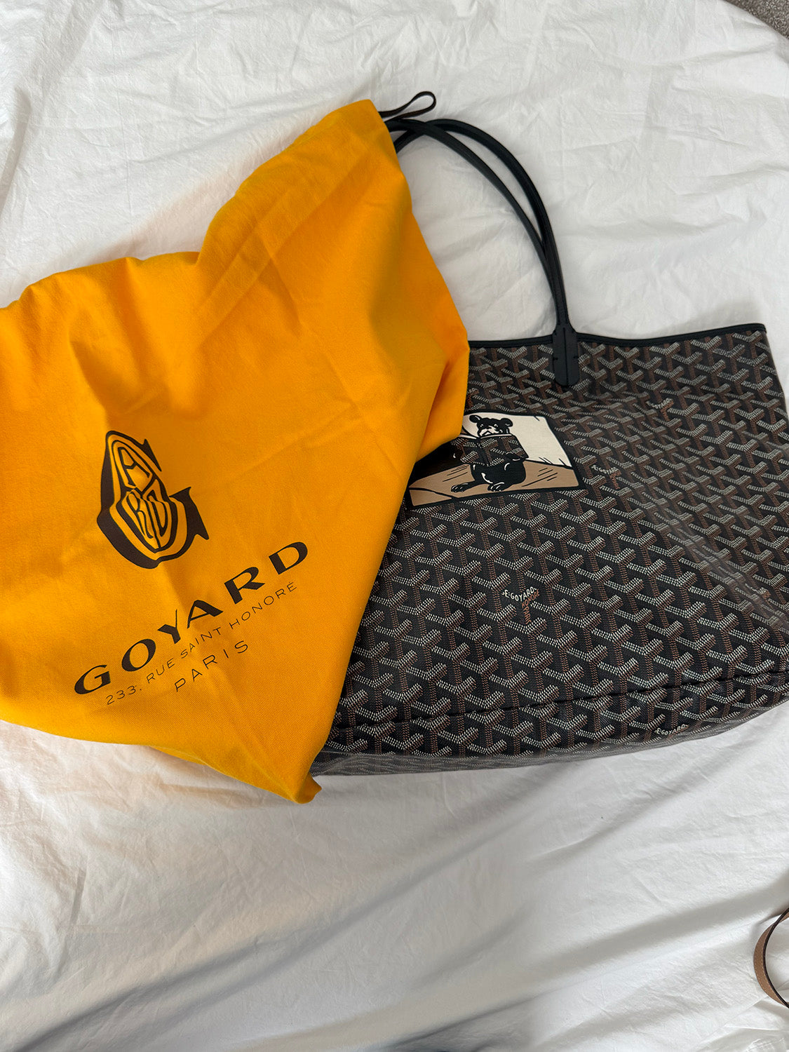 Goyard St. Louis GM Limited French Bulldog