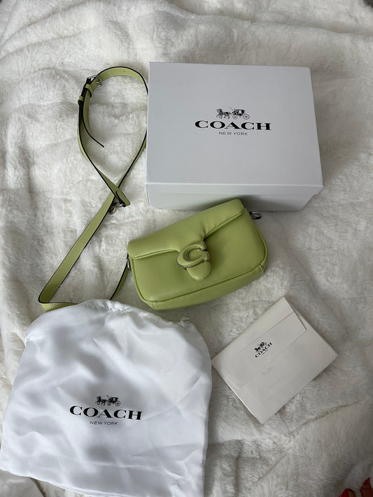 Coach Mini Pillow 20